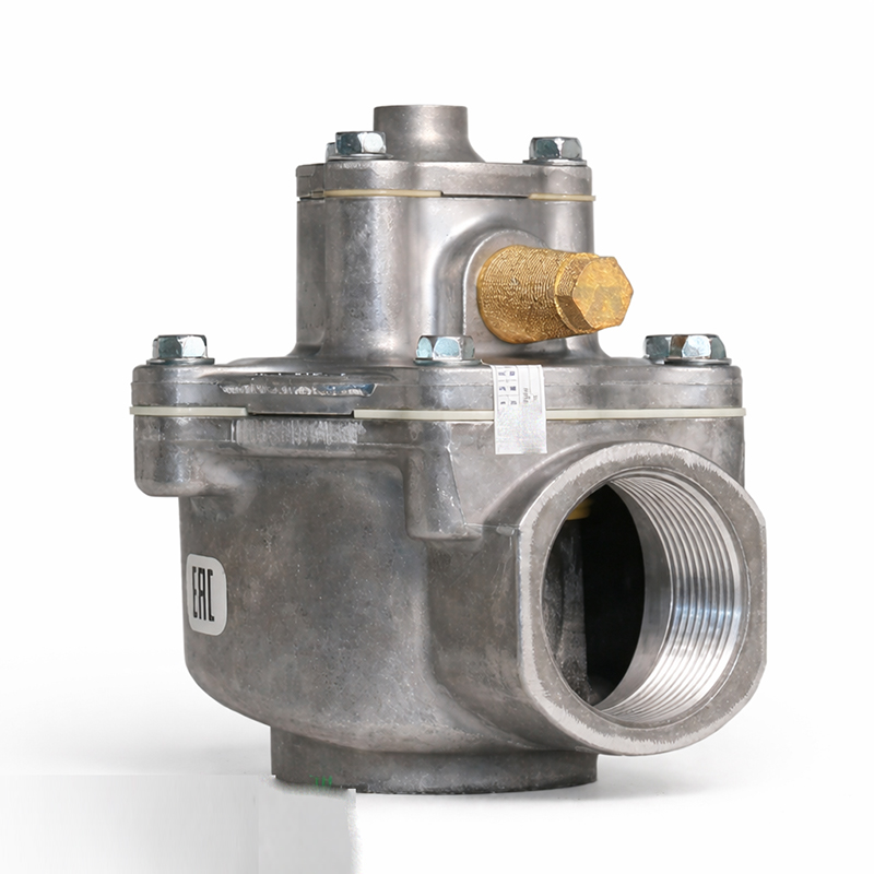 Van giũ bụi ASCO G353K3110 - Ảnh 2