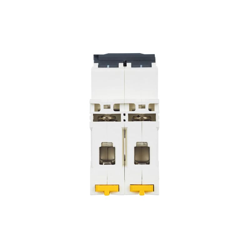 MCB IEK ARMAT M06N 2P 2A 6KA TYPE C - Ảnh 7