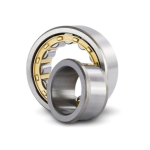 Vòng bi đũa trụ - Cylindrical Roller Bearings